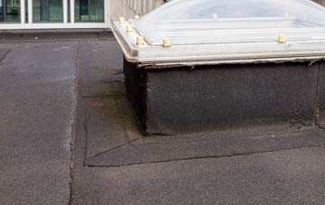 disadvantages of Murraythwaite flat roofs